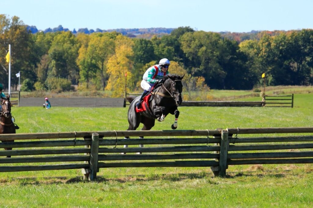A jockey in green and white racing silks jumping a timber fence on a black horse during a steeplechase race