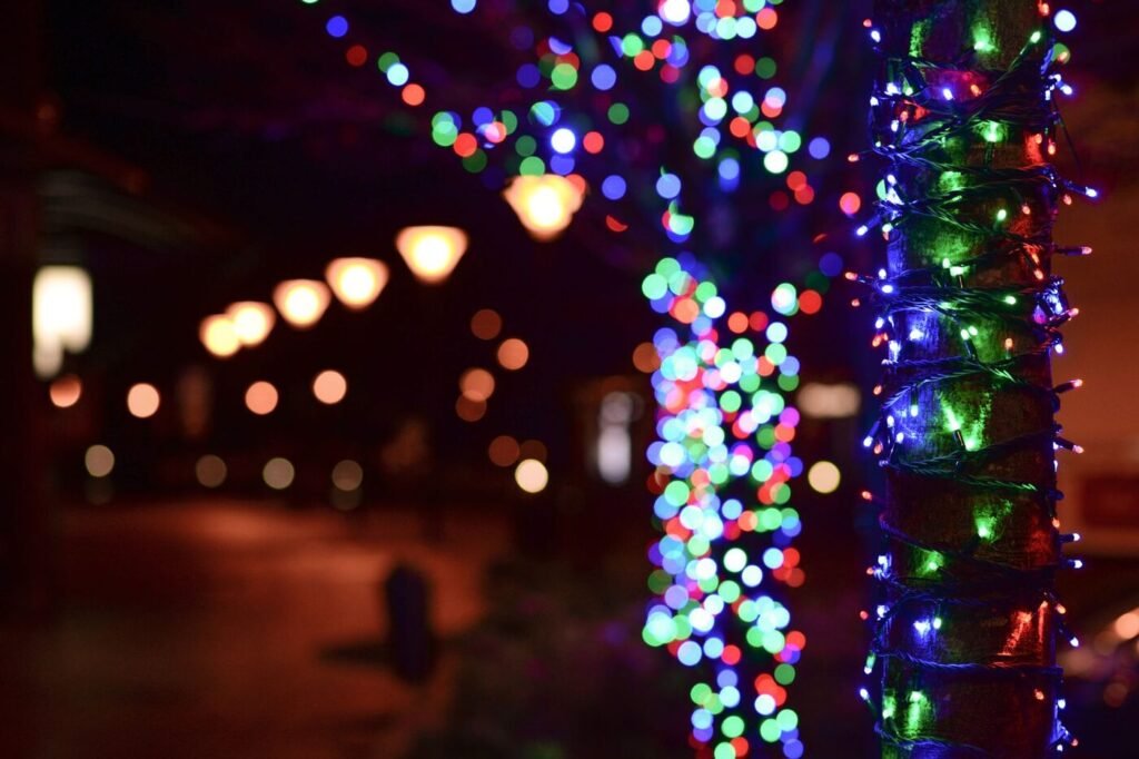 Colorful Christmas lights wrapped around trees at night