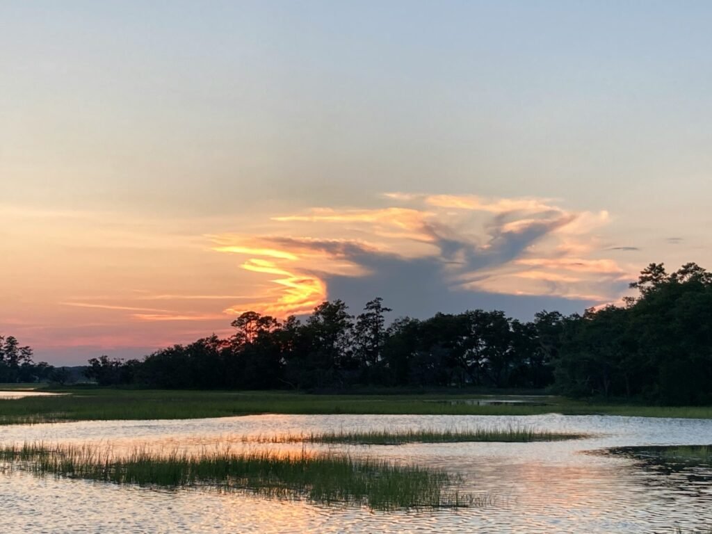 Salt marsh with tall grass and a tree line under a sunset sky with glowing clouds