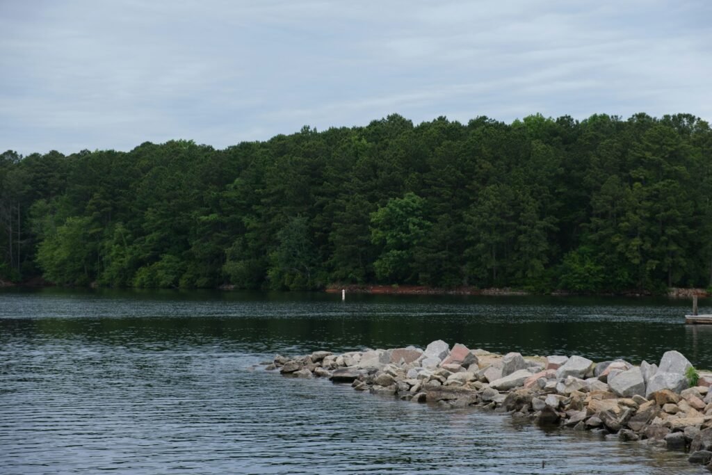 Calm lake with a rock breakwater along the shore and a dense pine forest on the far bank under a gray sky