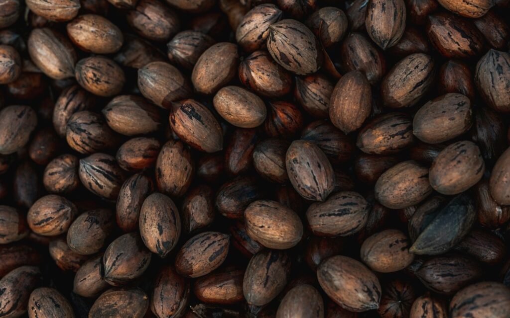 Close-up pile of whole brown pecans still in their striped shells