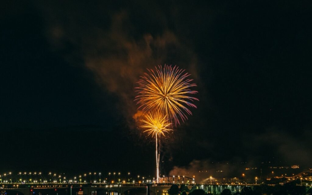 Gold firework bursting over a lit bridge and dark water at night