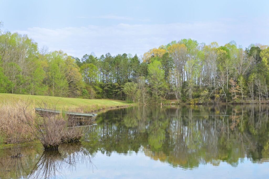 Spring lake with lush trees and a boat reflected in still water