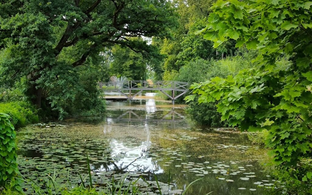 Lily-pad pond under leafy trees with a small white footbridge in a lush garden